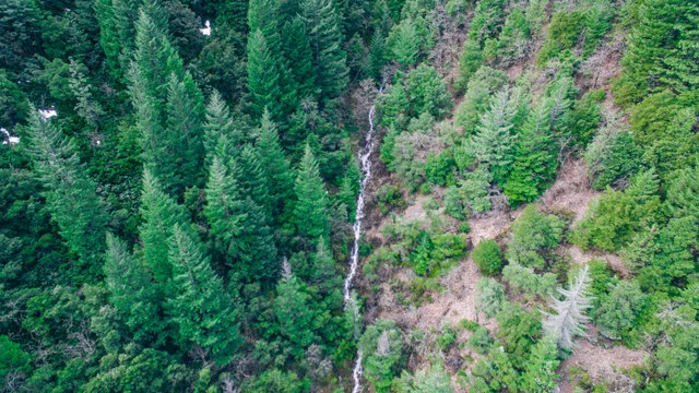 Horsetail Falls