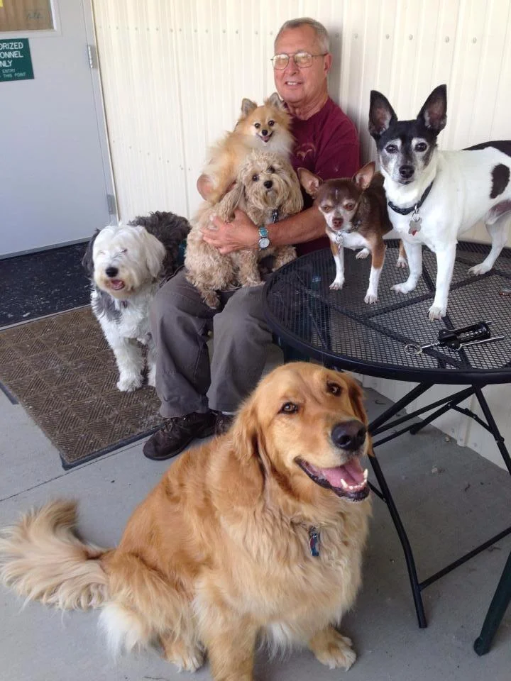 Jay and his pals on "bring your dogs to work day" at The Science and Conservation Center