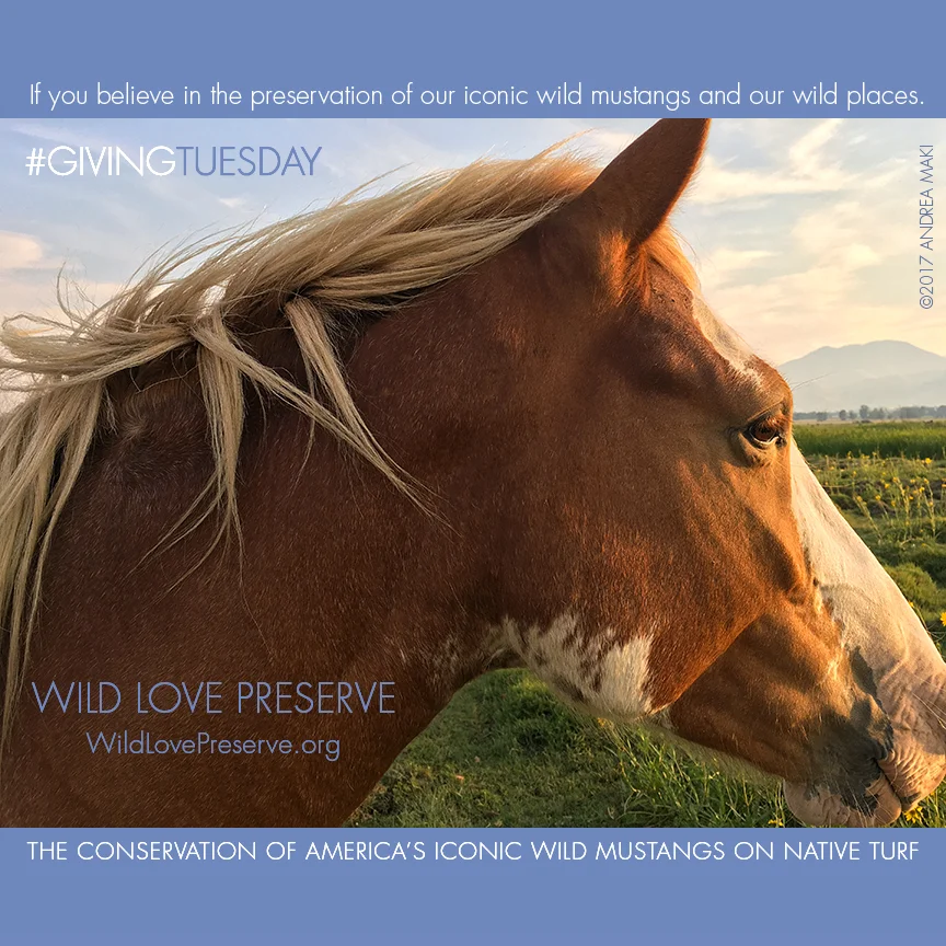GivingTuesday2017-2.jpg