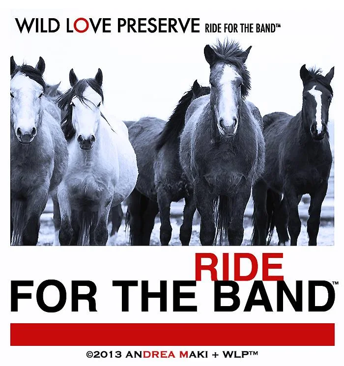WLP-Ride4Band2013.jpg