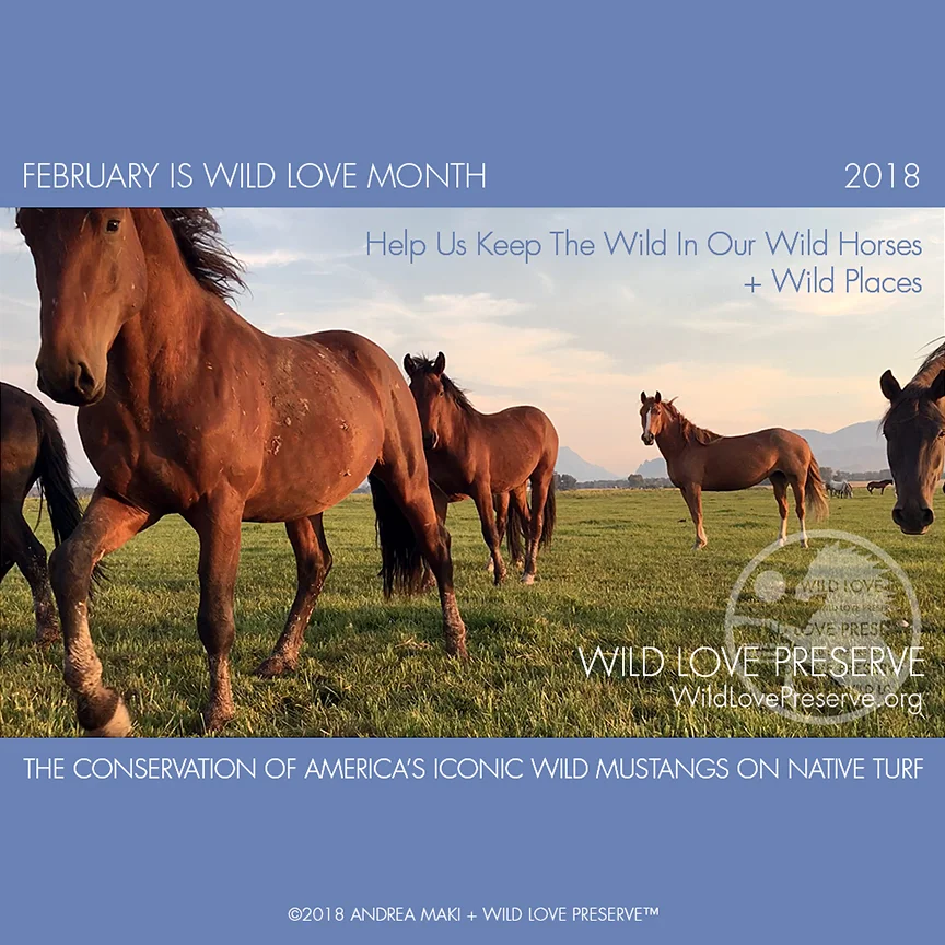 WildLoveMonth2018.jpg