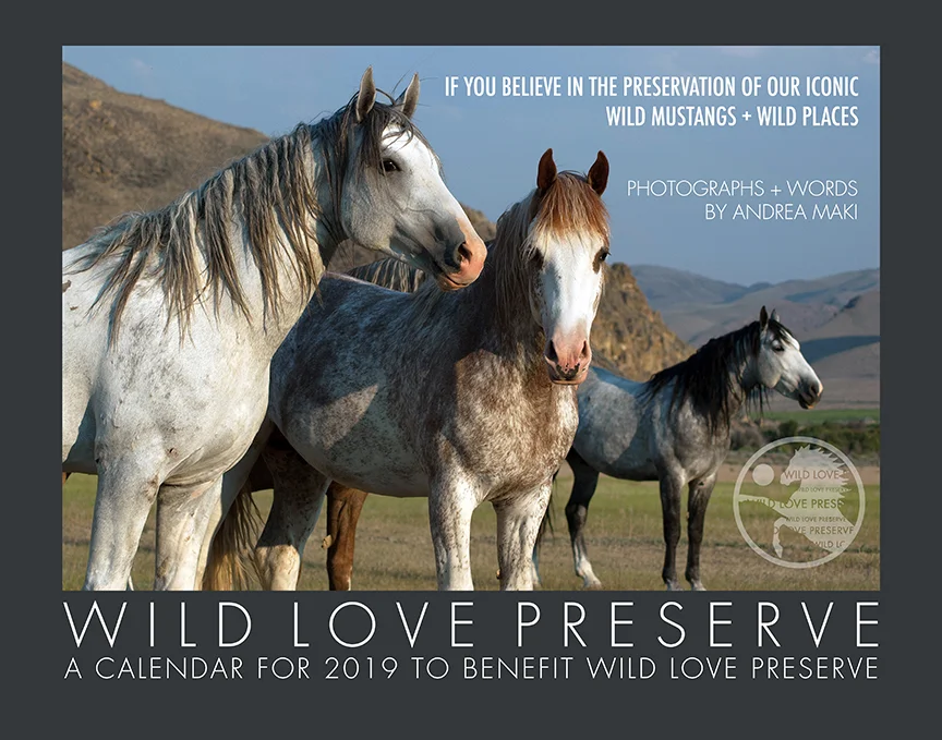 2019WildLove-Calendar-Cover72dpi.jpg