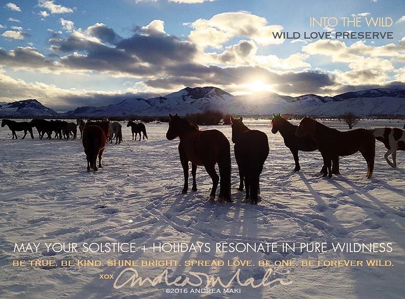 WinterSolstice2016.jpg