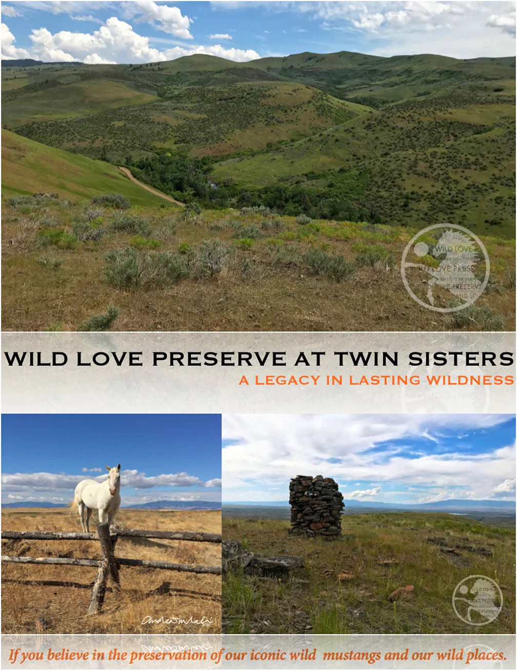 CampaignCover-Pics2.jpg