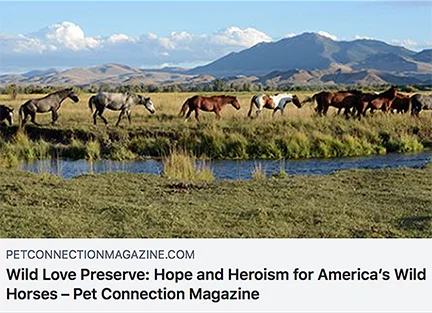 petconnectmag-online-SM.jpg