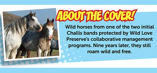 PetConnectMag-Insert-2.jpg
