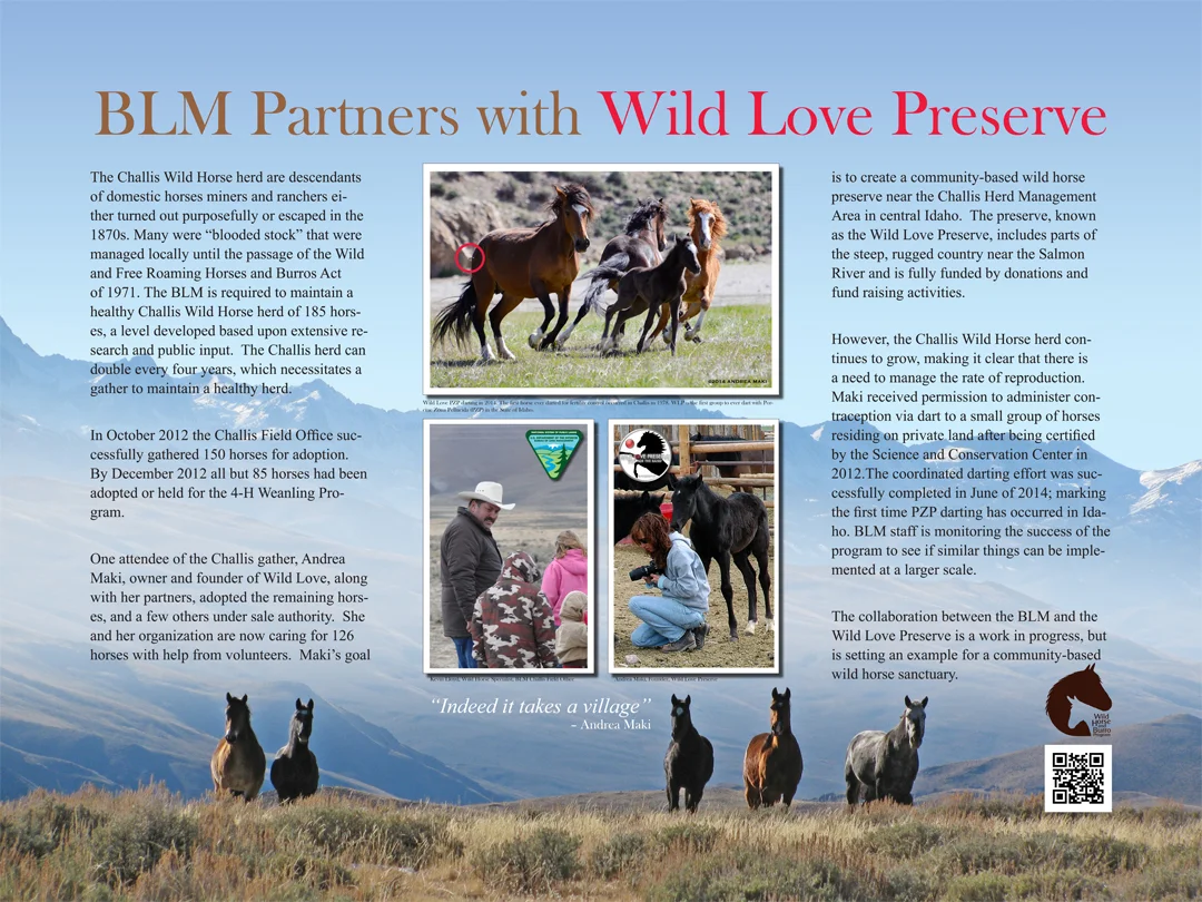 Poster_Wild_Love_72.jpg
