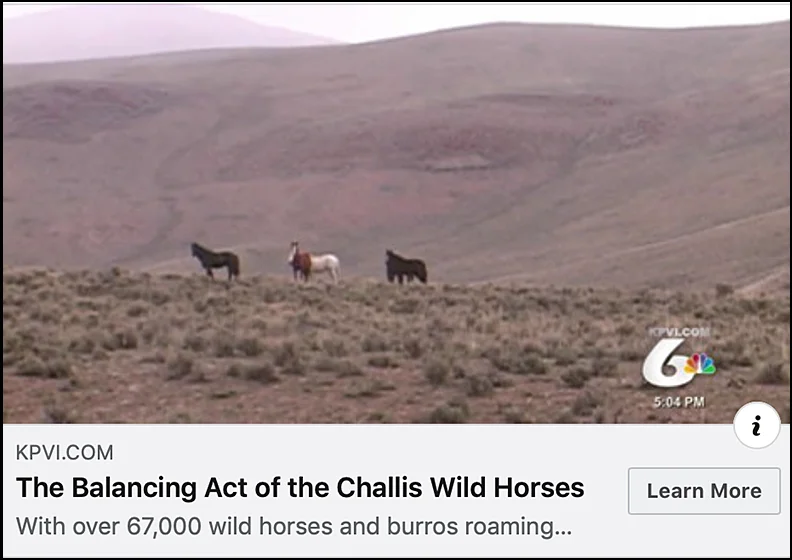 May 24, 2016, The Balancing Act Of The Challis Wild Horses , KPVI NBC News Idaho.