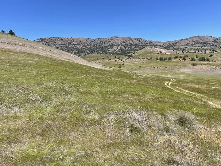 Hills-26-04.jpg