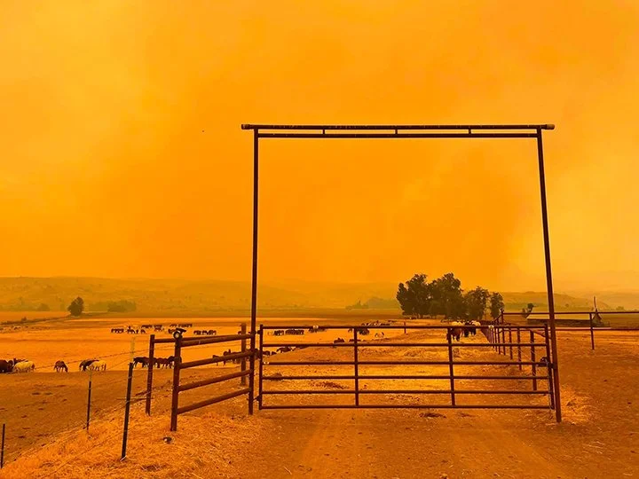 Wildfire-July26-02.jpg