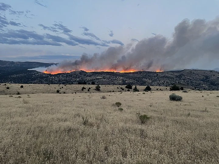 Wildfire-July26-03.jpg