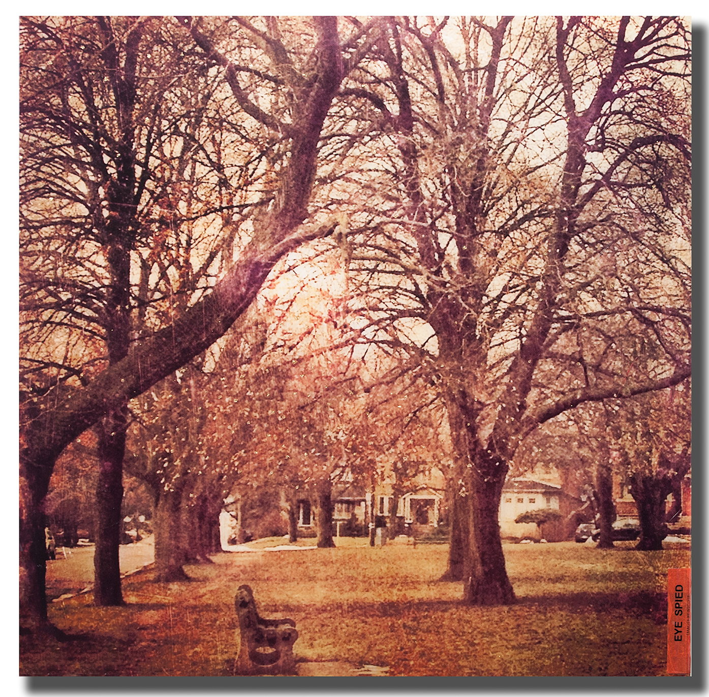 Belsize