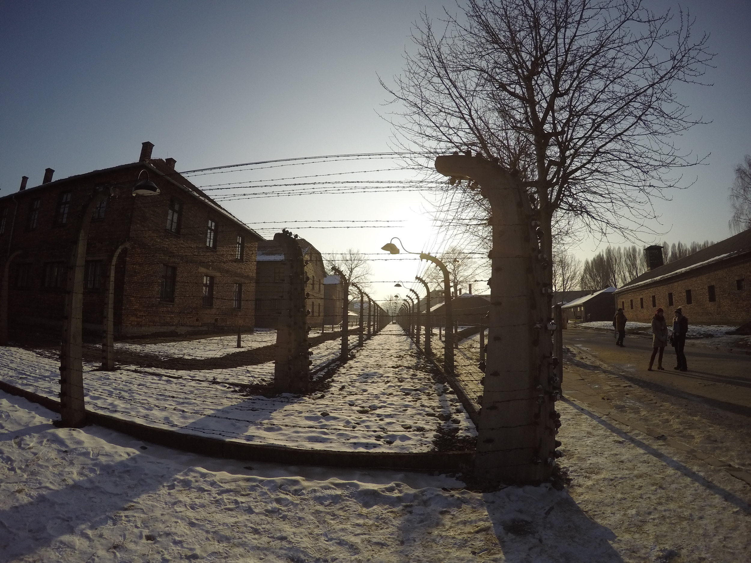 Barbed wire fencing at Auschwitz