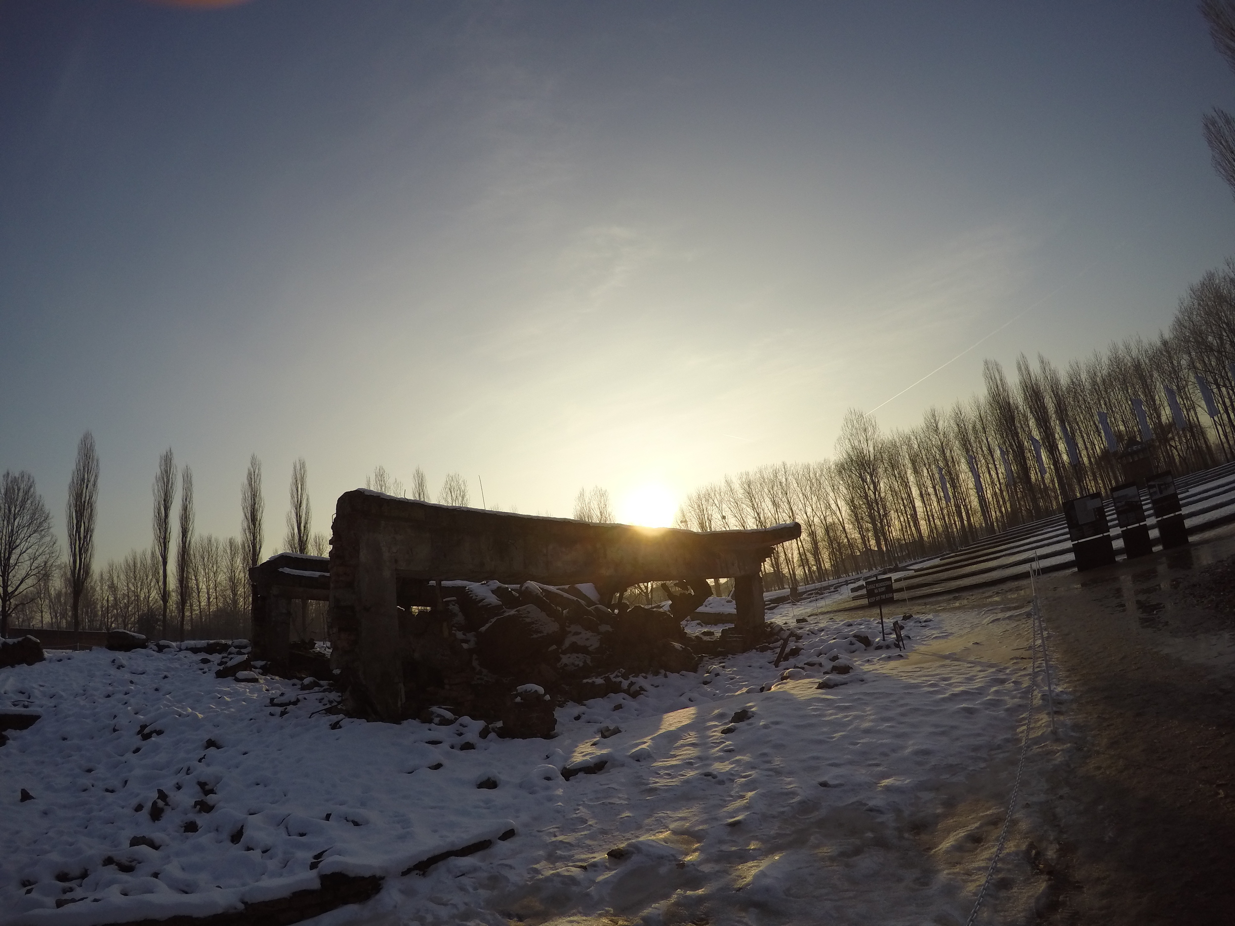 Ruins of a gas chamber at Birkenau