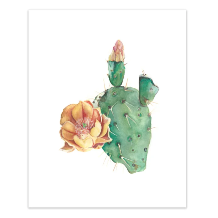 Cactus3.jpg