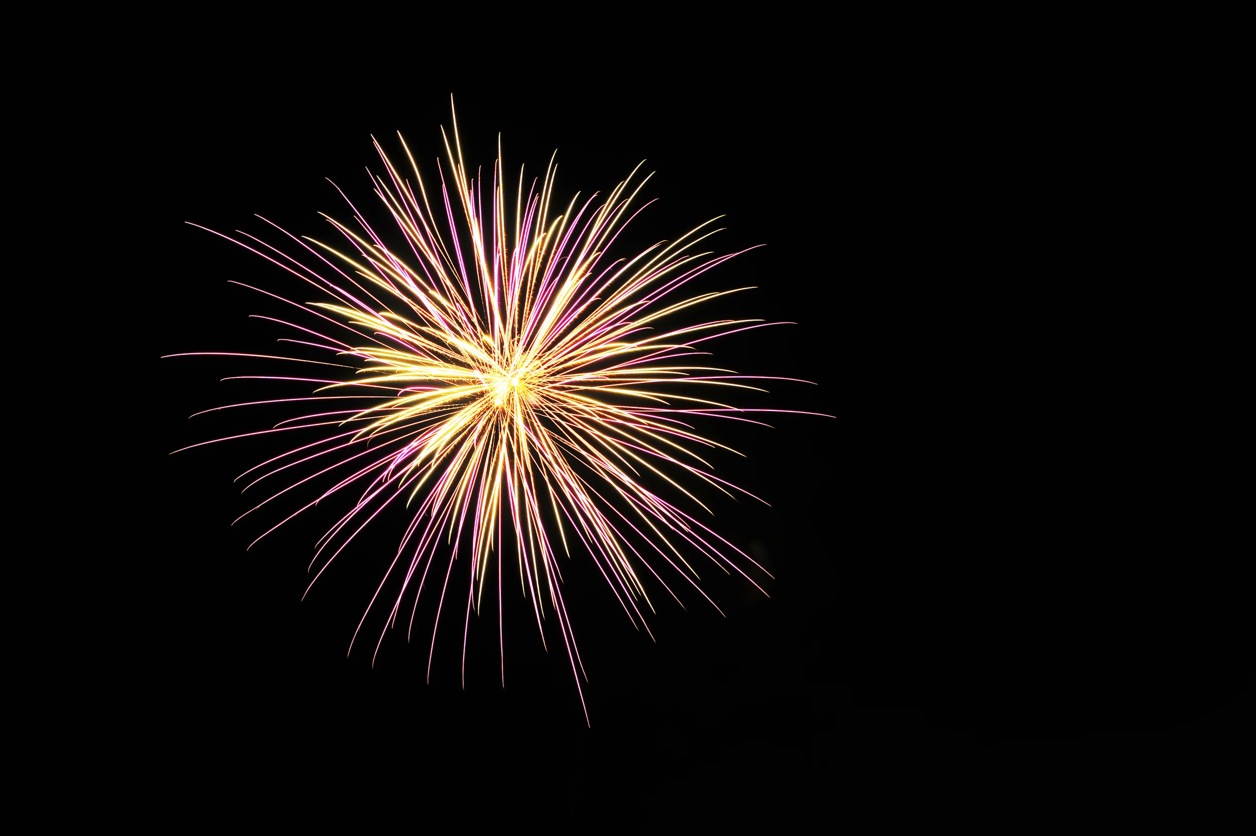 DSC_7866_6582.jpg