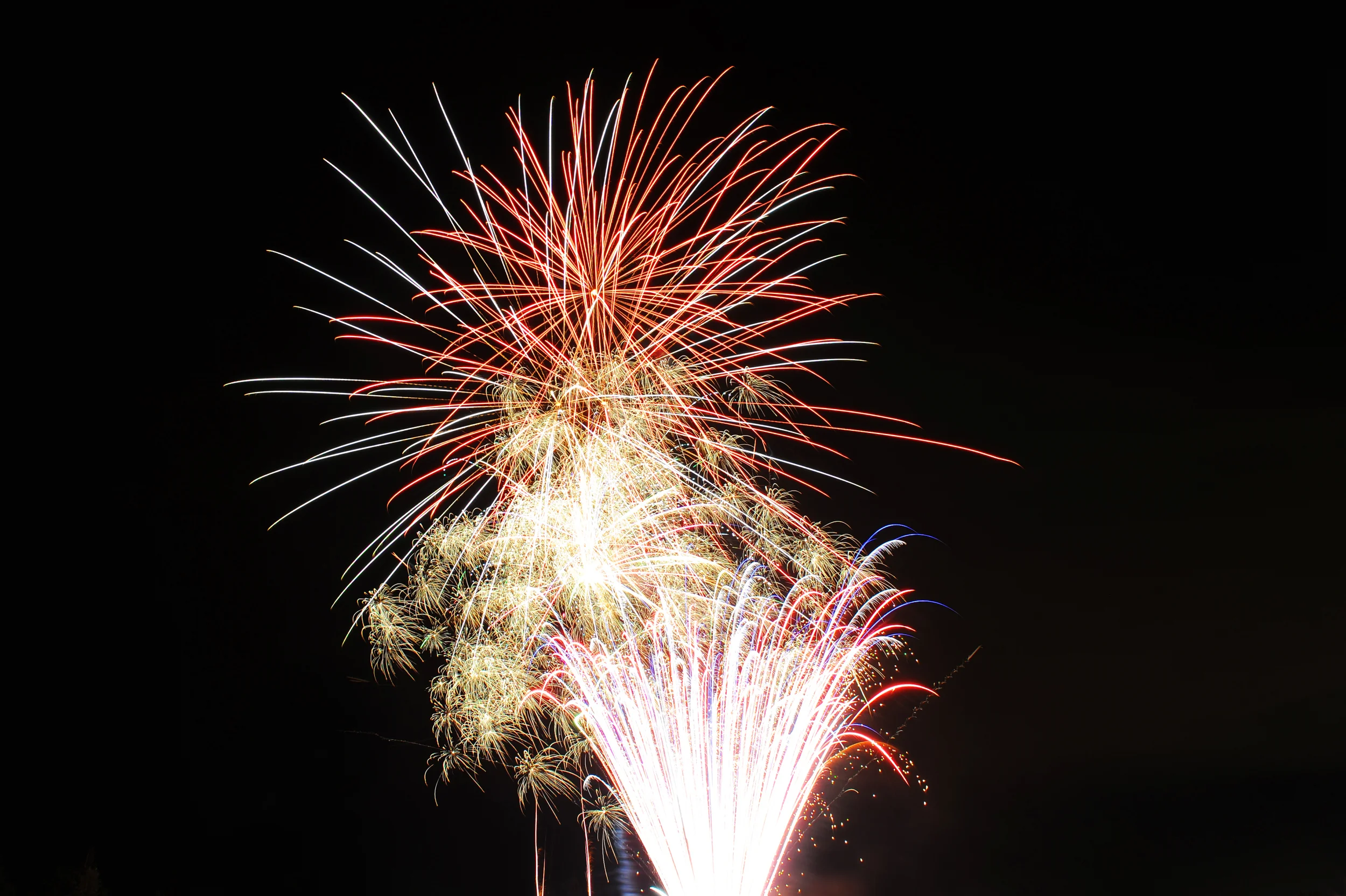 DSC_7916_6632.jpg