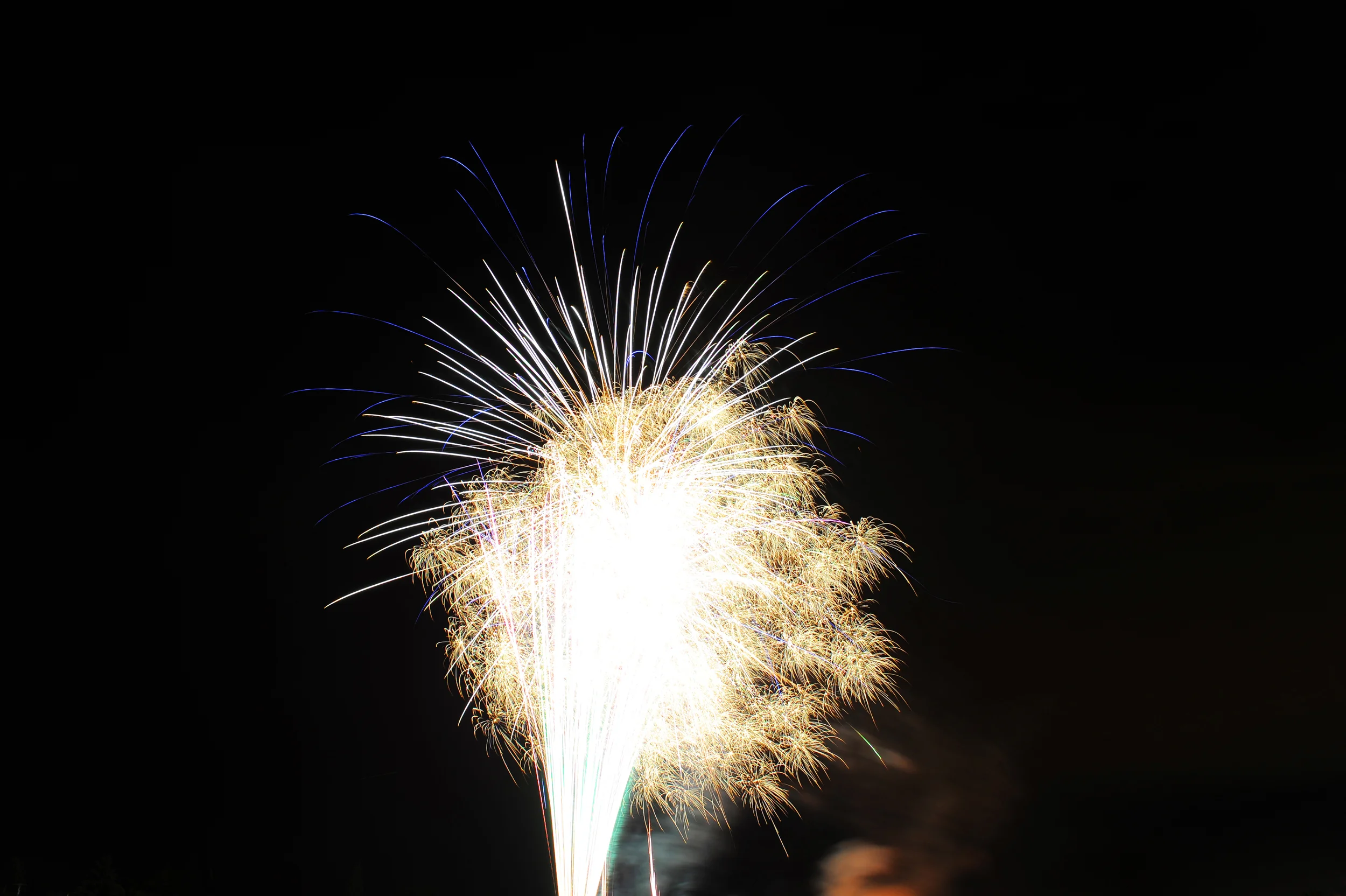DSC_7917_6633.jpg