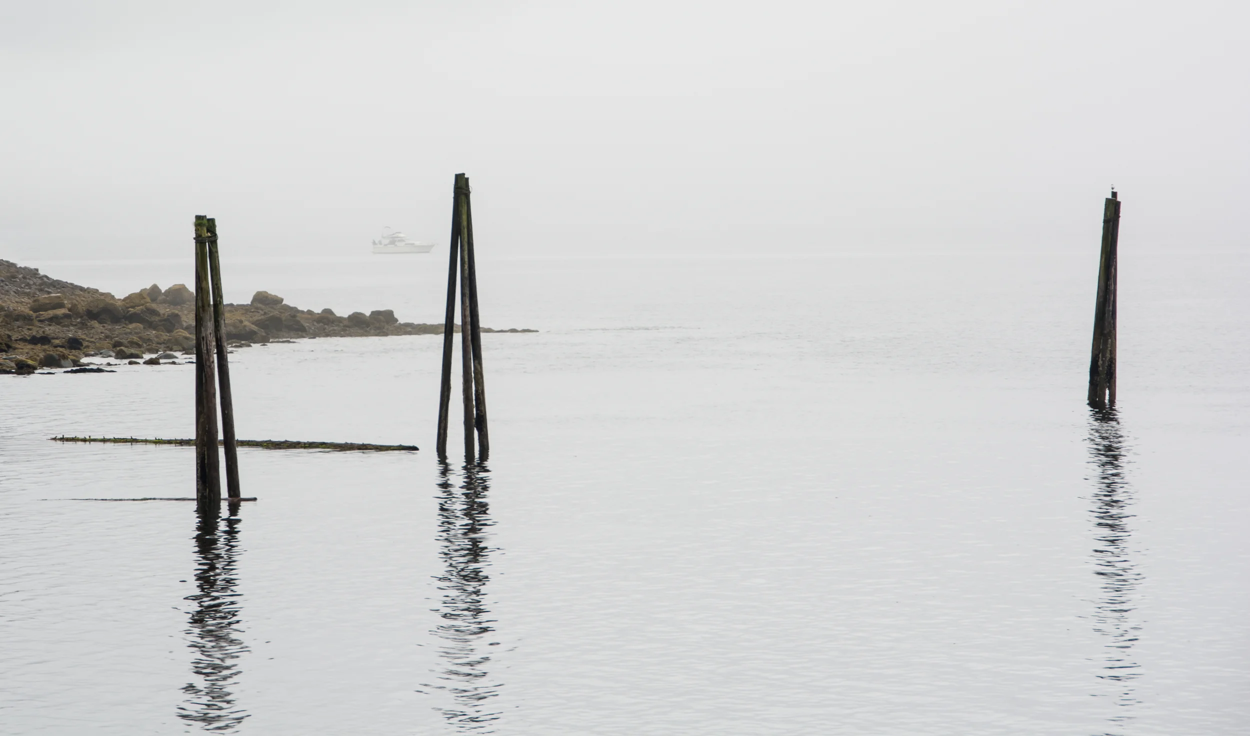 _DSC6319-P.jpg