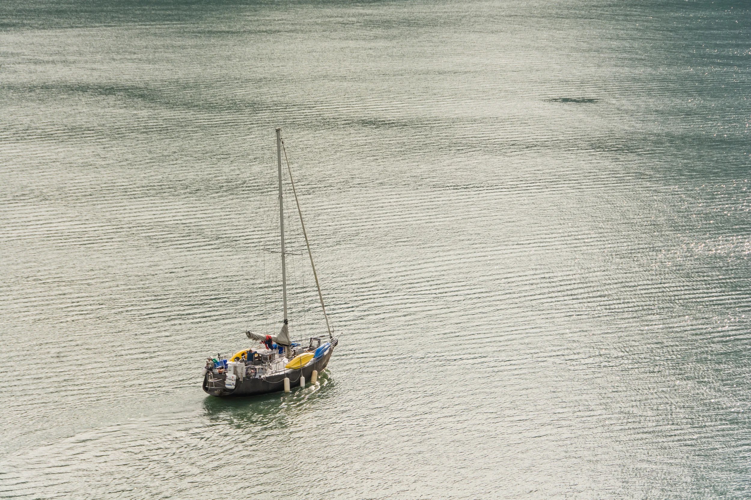_DSC6583-P.jpg