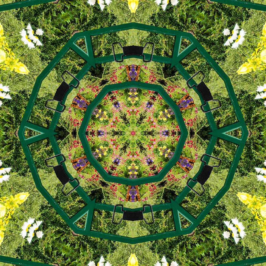 Flowers-w.jpg