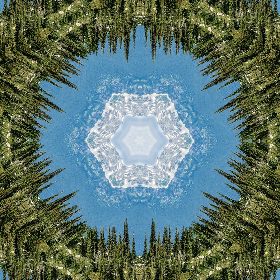 TreesMountain-w.jpg