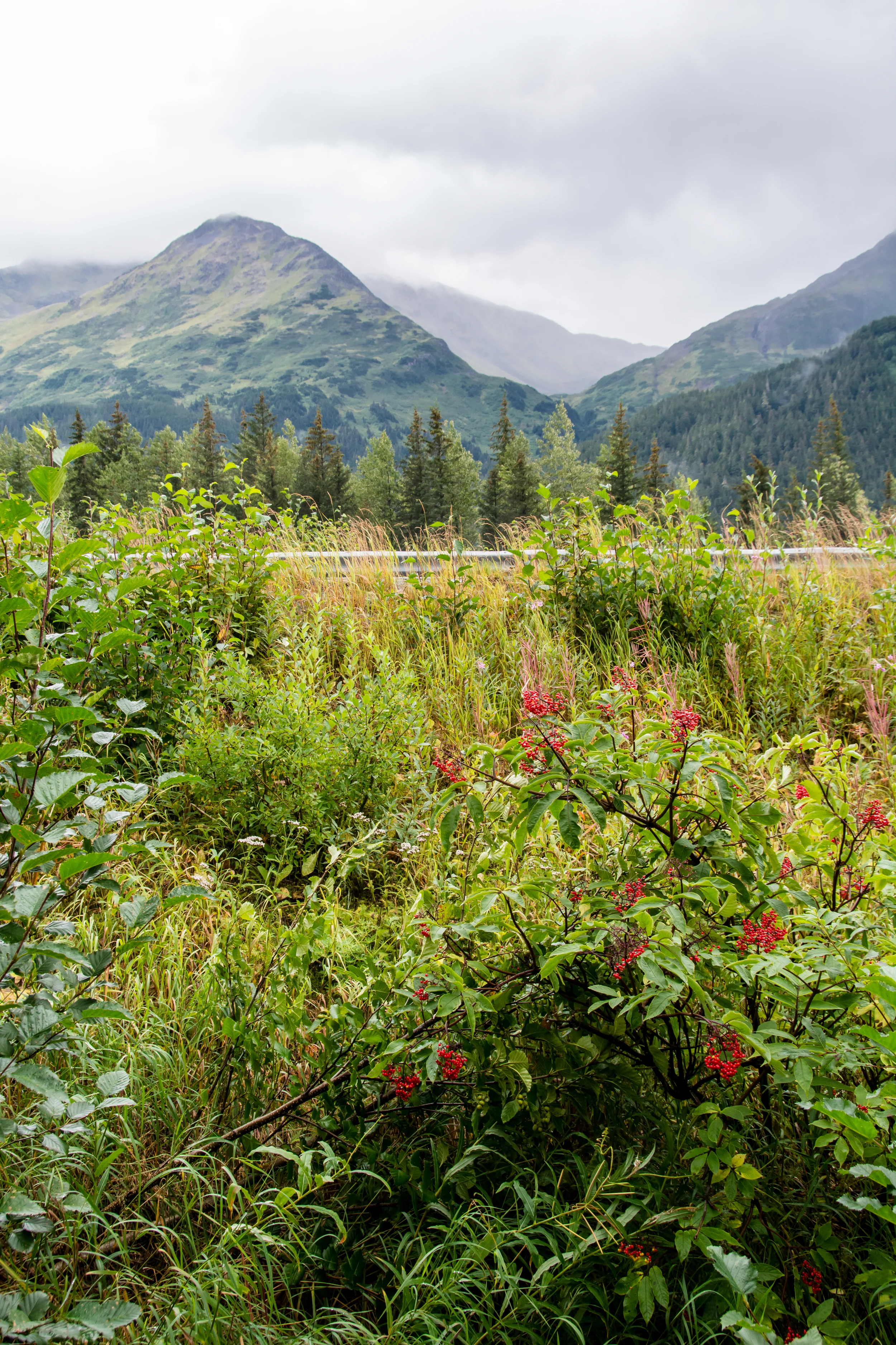 _DSC6848-P.jpg