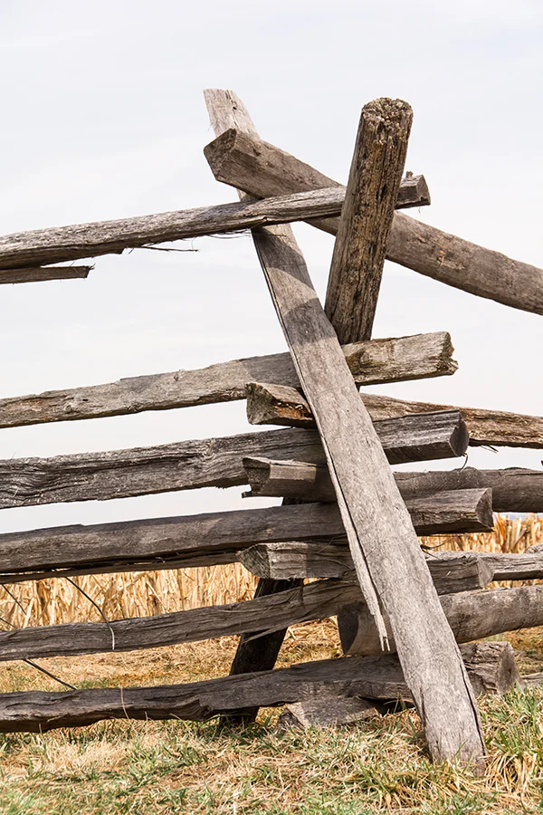 _DSC4262-Edit.jpg