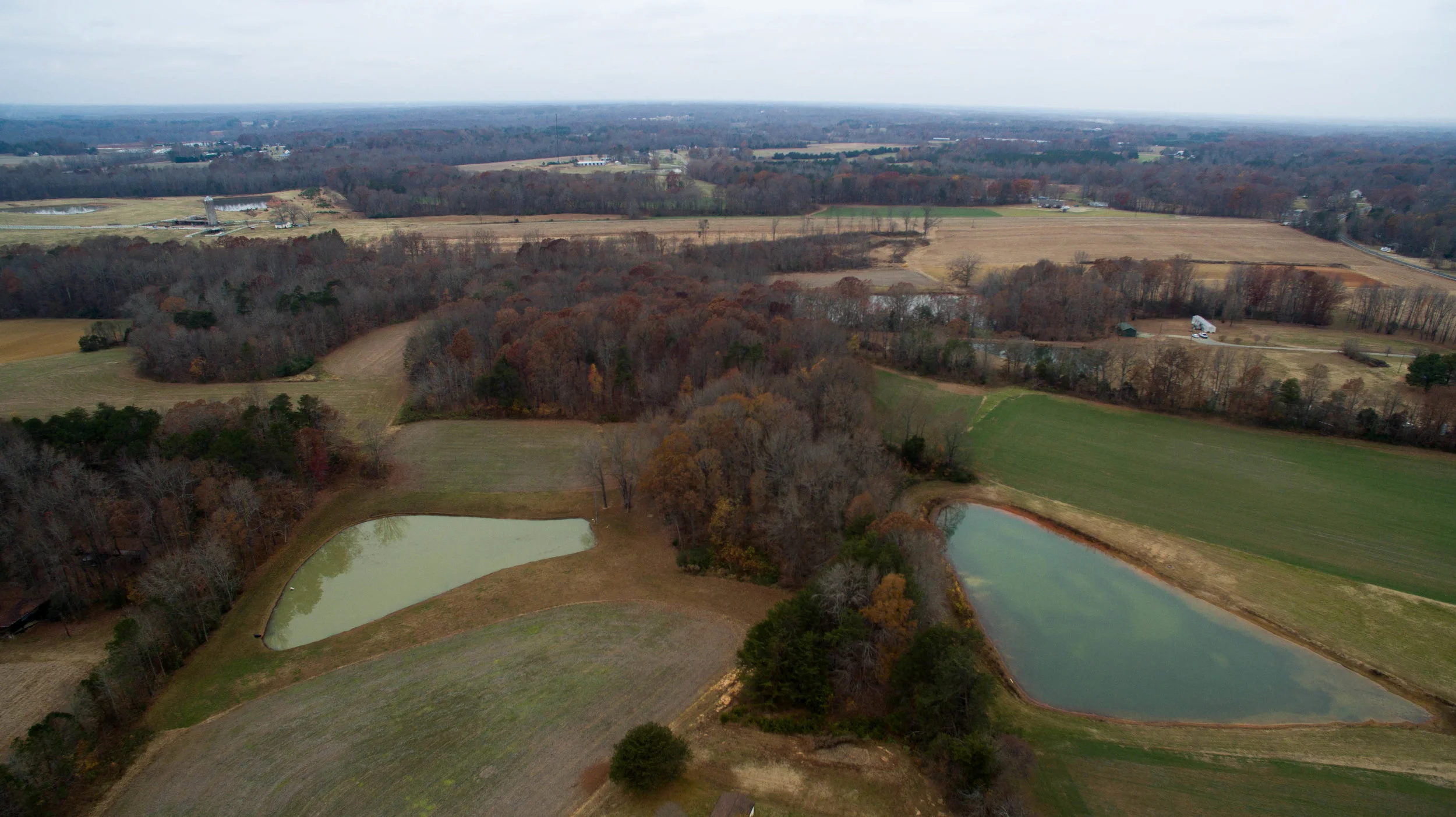 DJI_0318.jpg