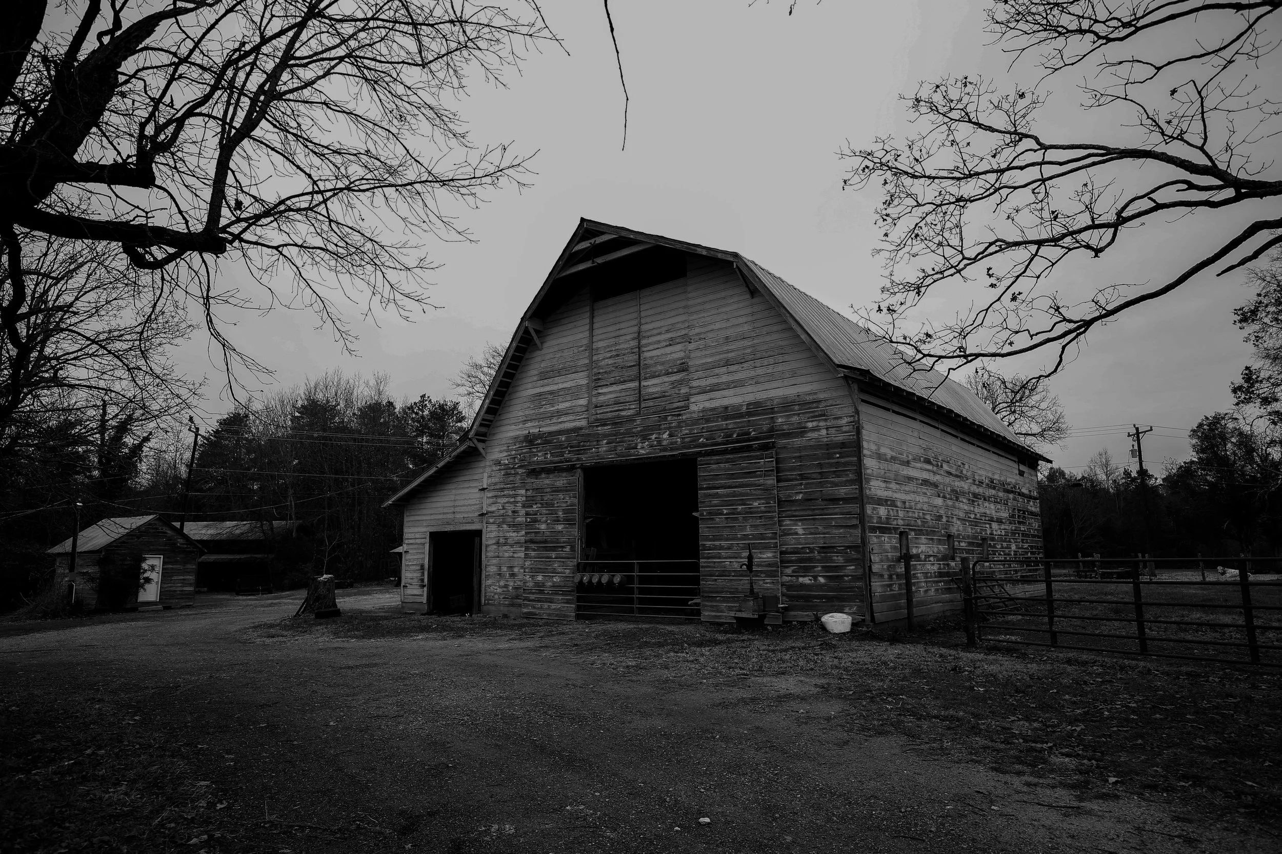 _D6A0275.jpg