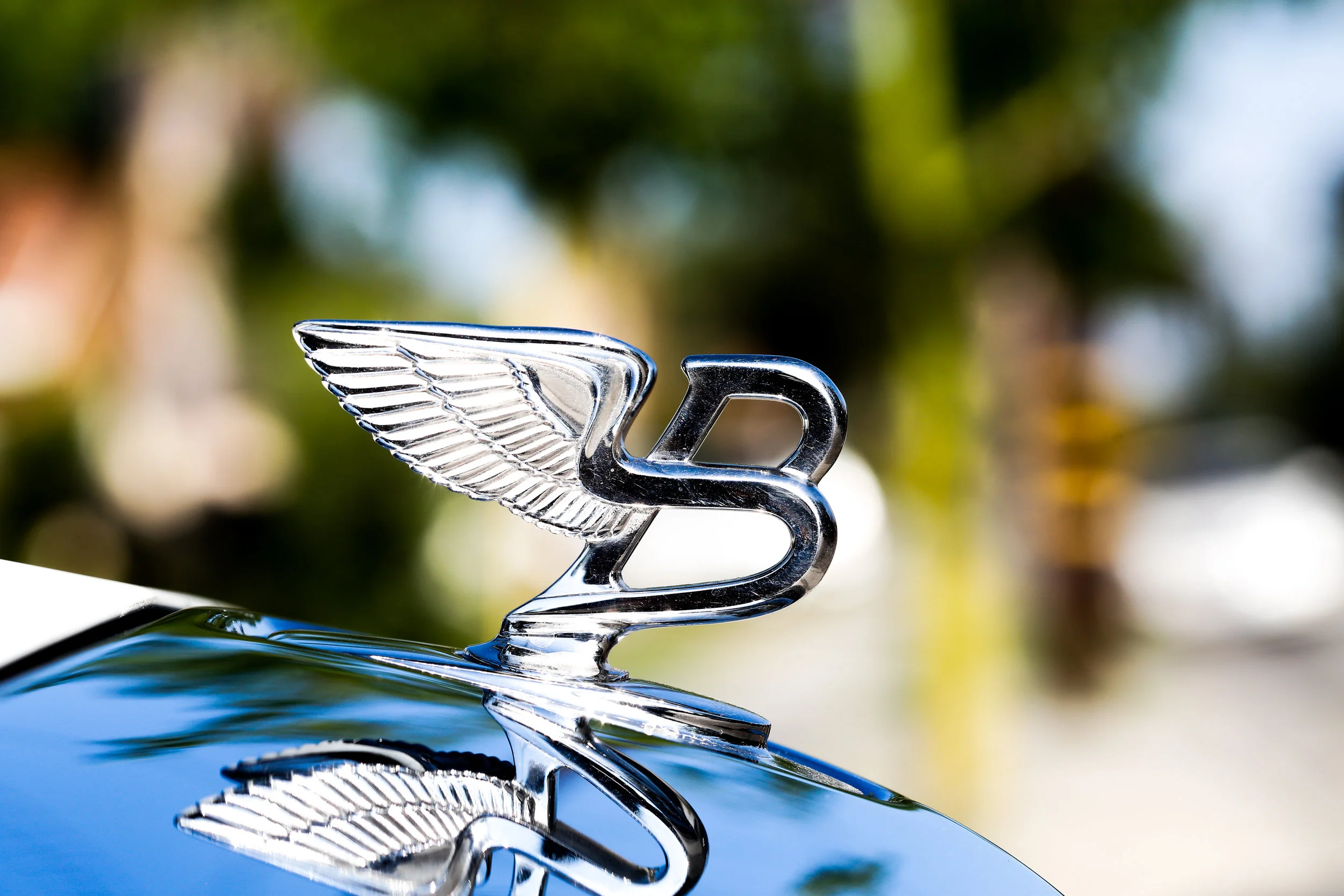 Bentley-3.jpg