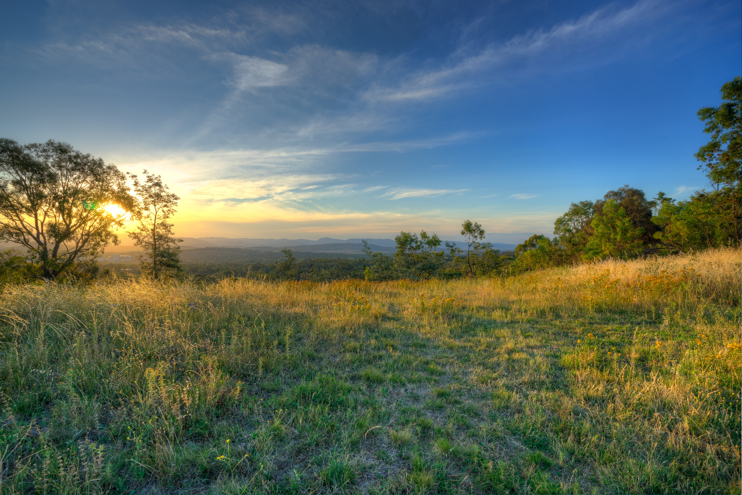Red Hill, Canberra
