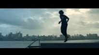 Puma - Falcao