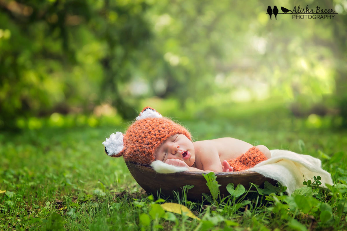 Outdoor newborn fox