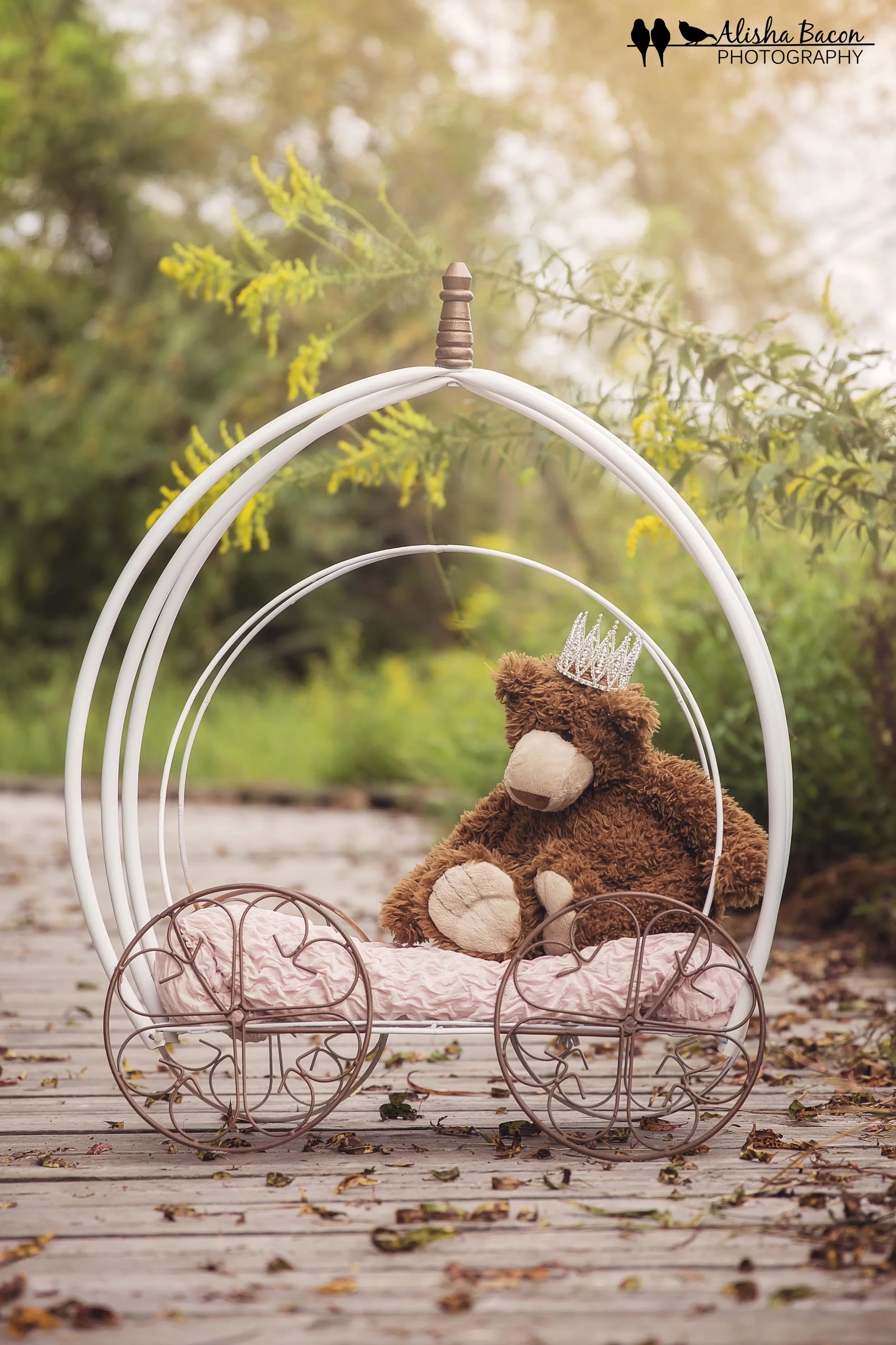 Newborn princess carriage prop DIY