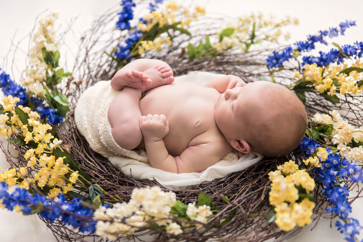knoxville-newborn-floral-baby-girl.jpg
