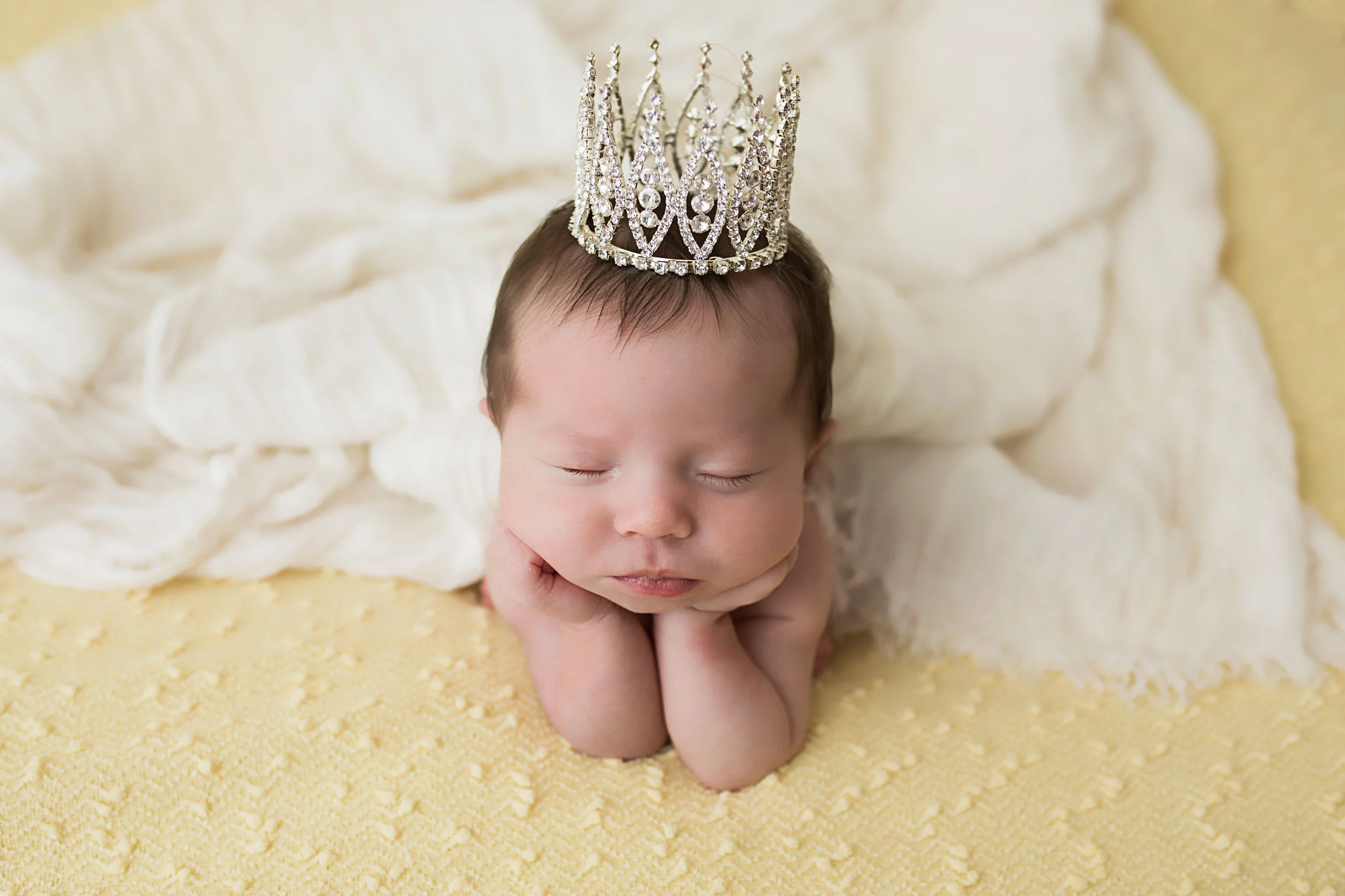 knoxville-floggy-pose-princess-newborn.jpg