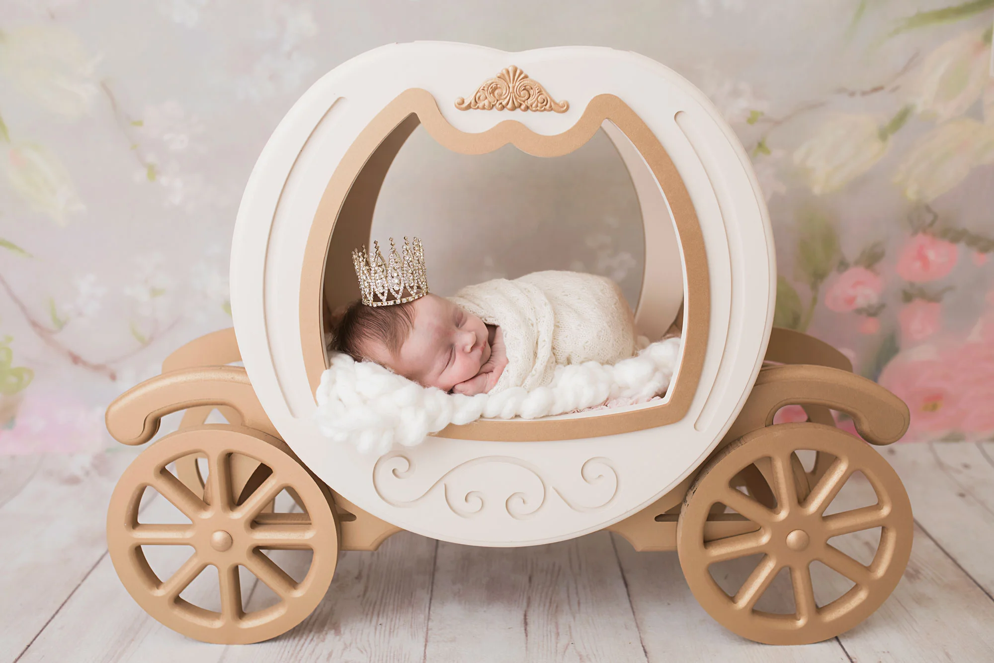 knoxville-newborn-in-princess-carriage-photography.jpg