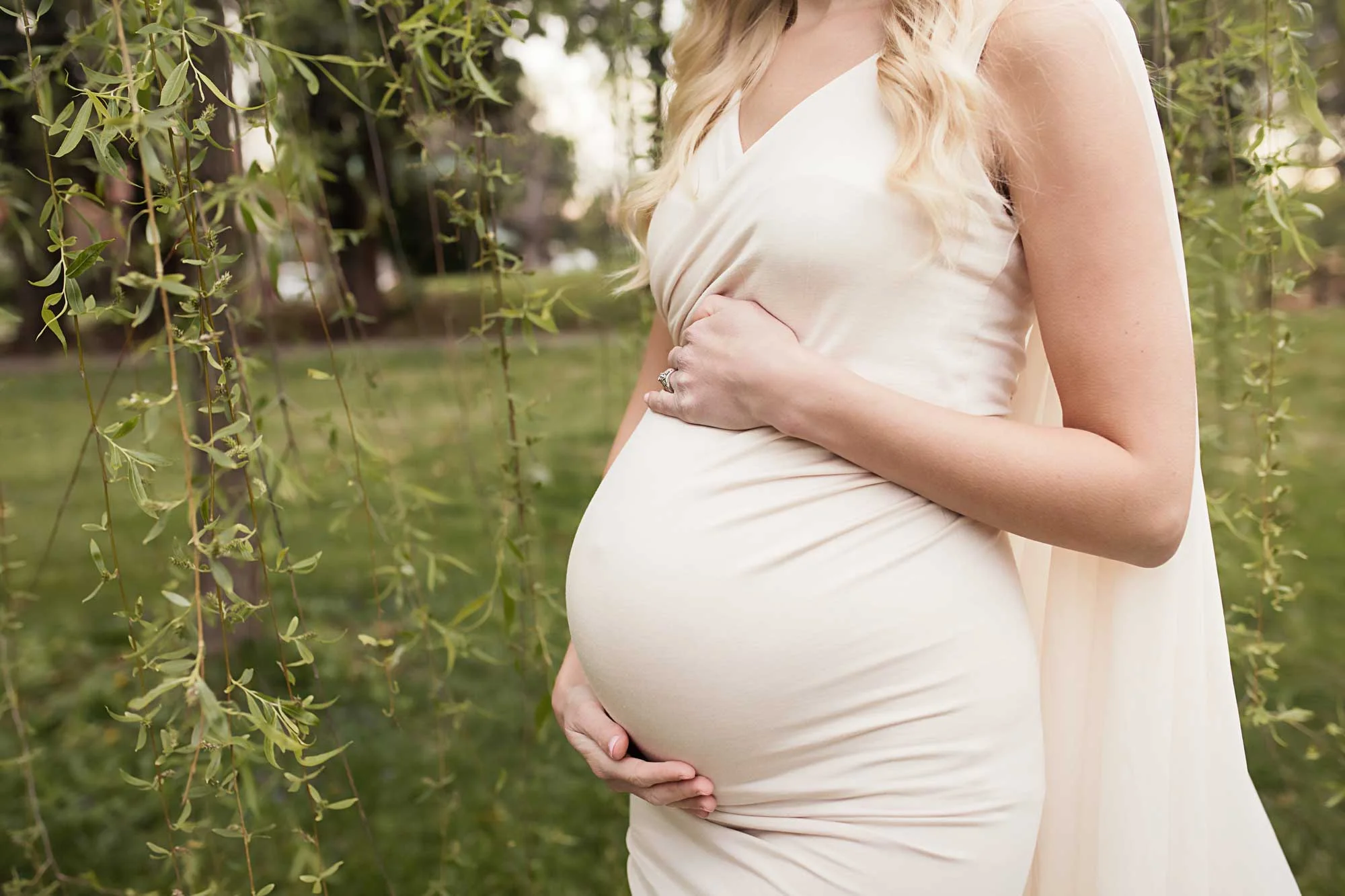 knoxville-tn-maternity-photographer-weeping-willow.jpg