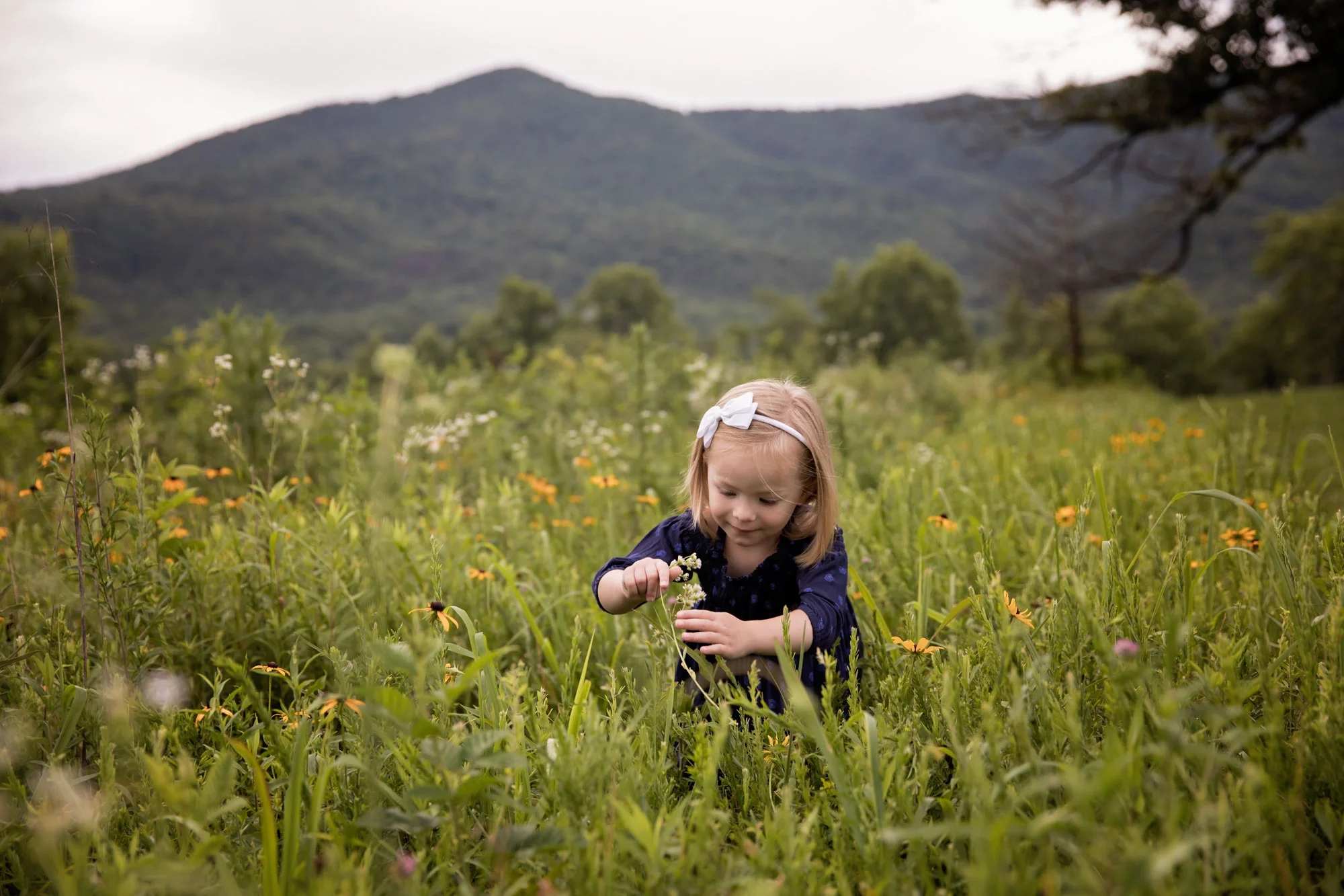 cades-cove-family-photographer-smoky-mountains.jpg