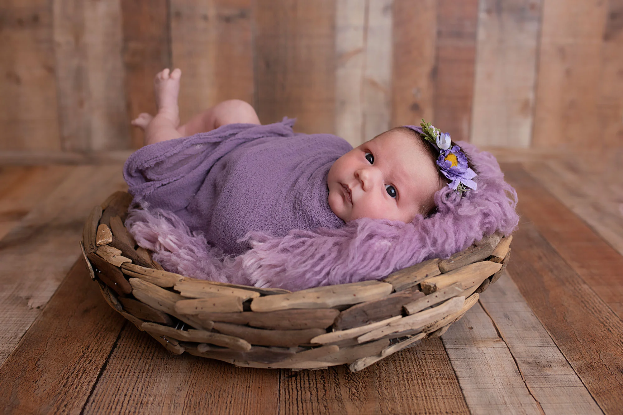 knoxville-newborn-photographer-purple-set.jpg