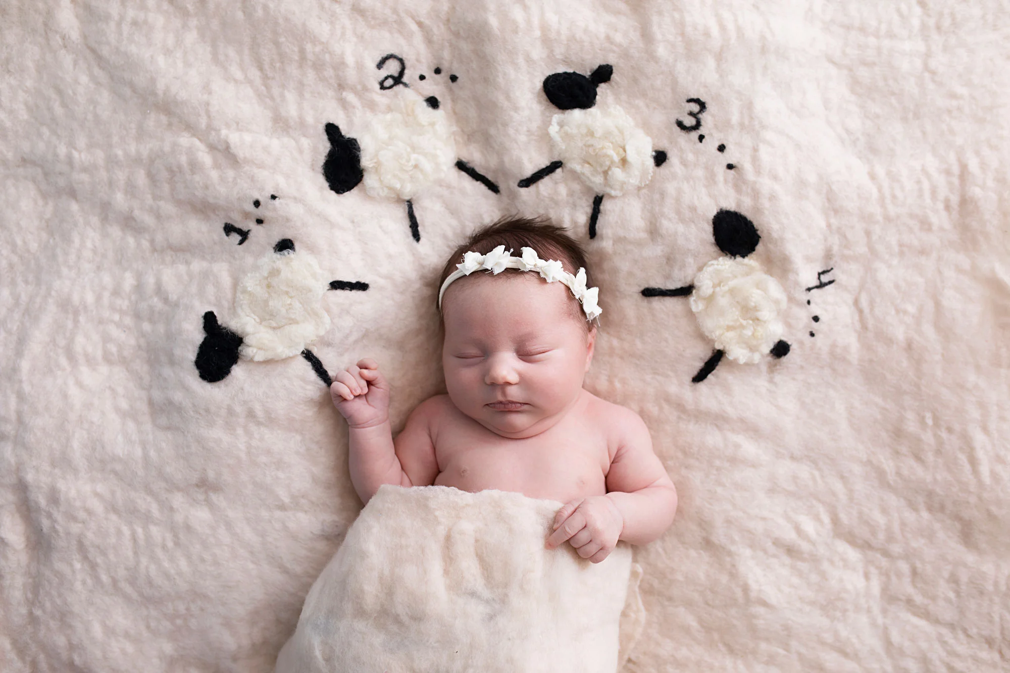 knoxville-photographer-newborn-counting-sheep.jpg