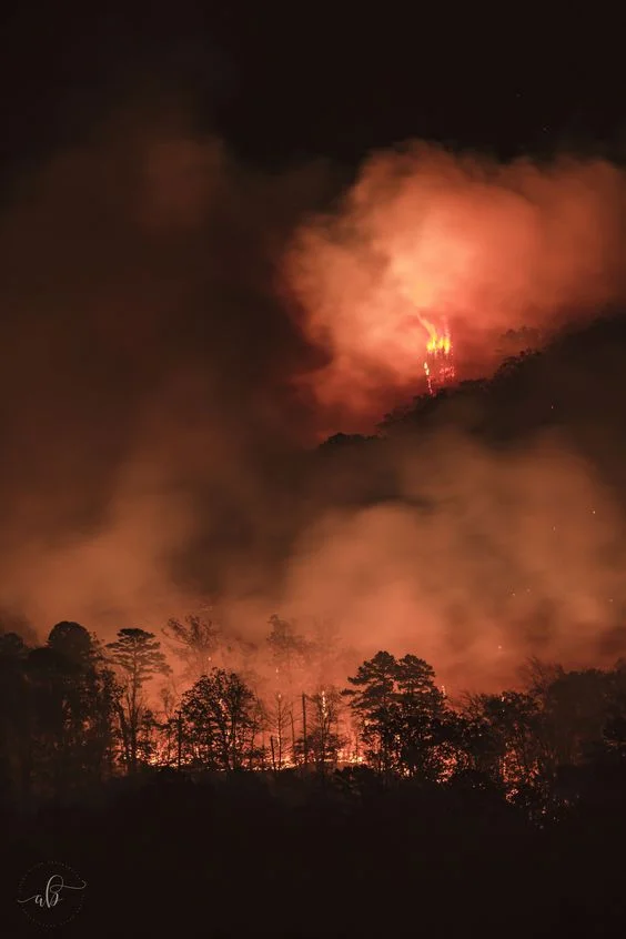 Local Gatlinburg Photographer | Mountain Escapes Photography | Local VS. Chain