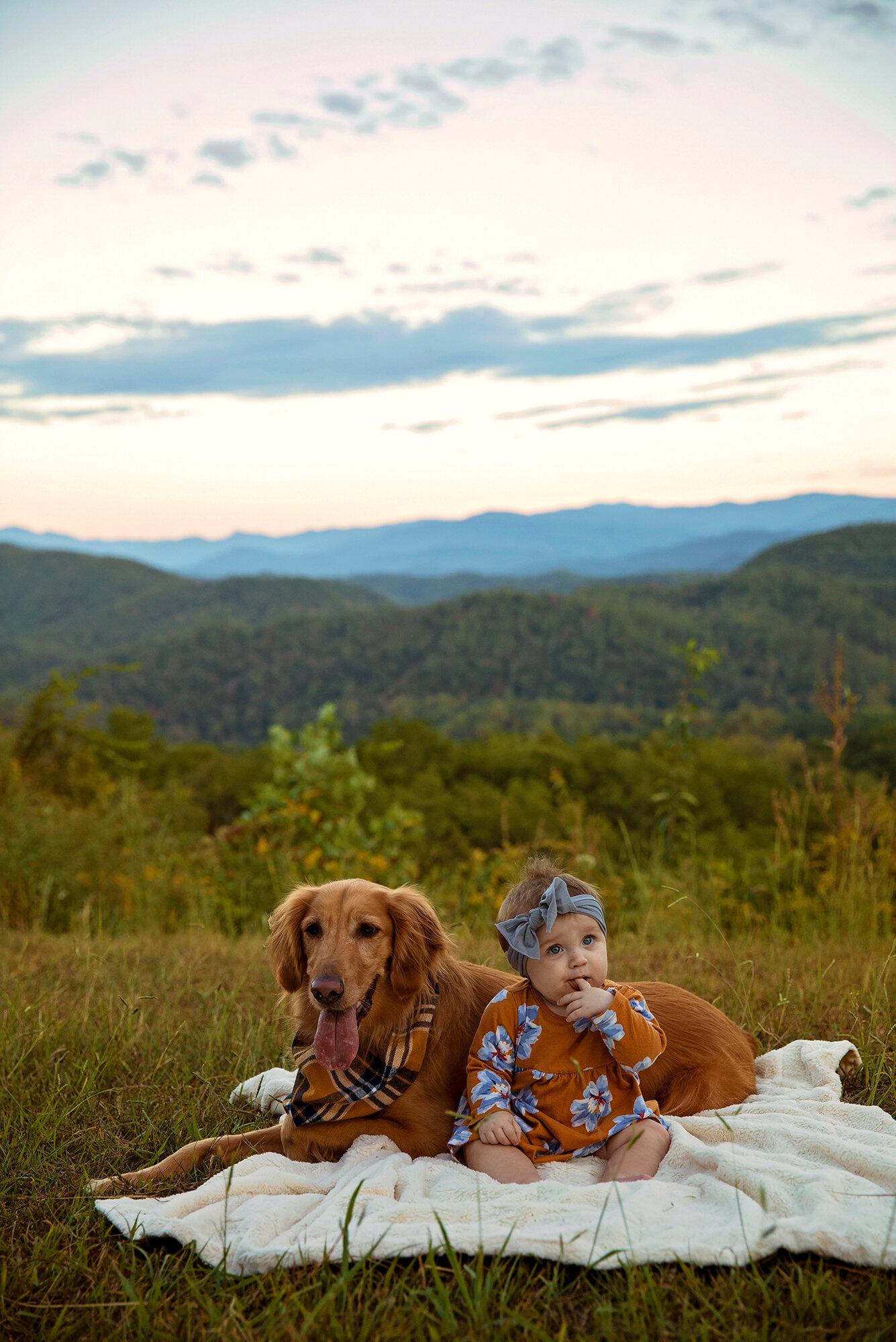 Gatlinburg-tn-photographer-smoky-mountain-baby-golden-retriver.jpg