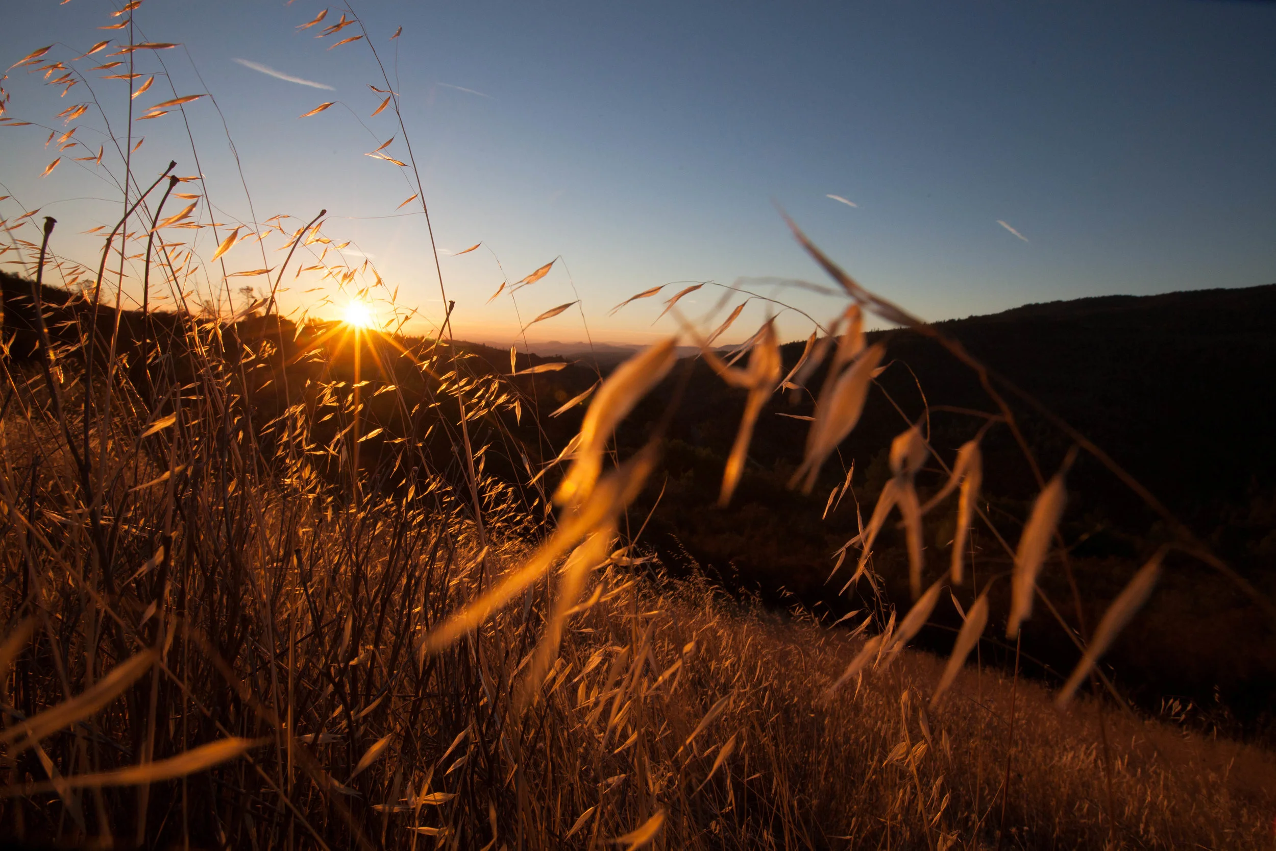 Post Election... Yoga required.