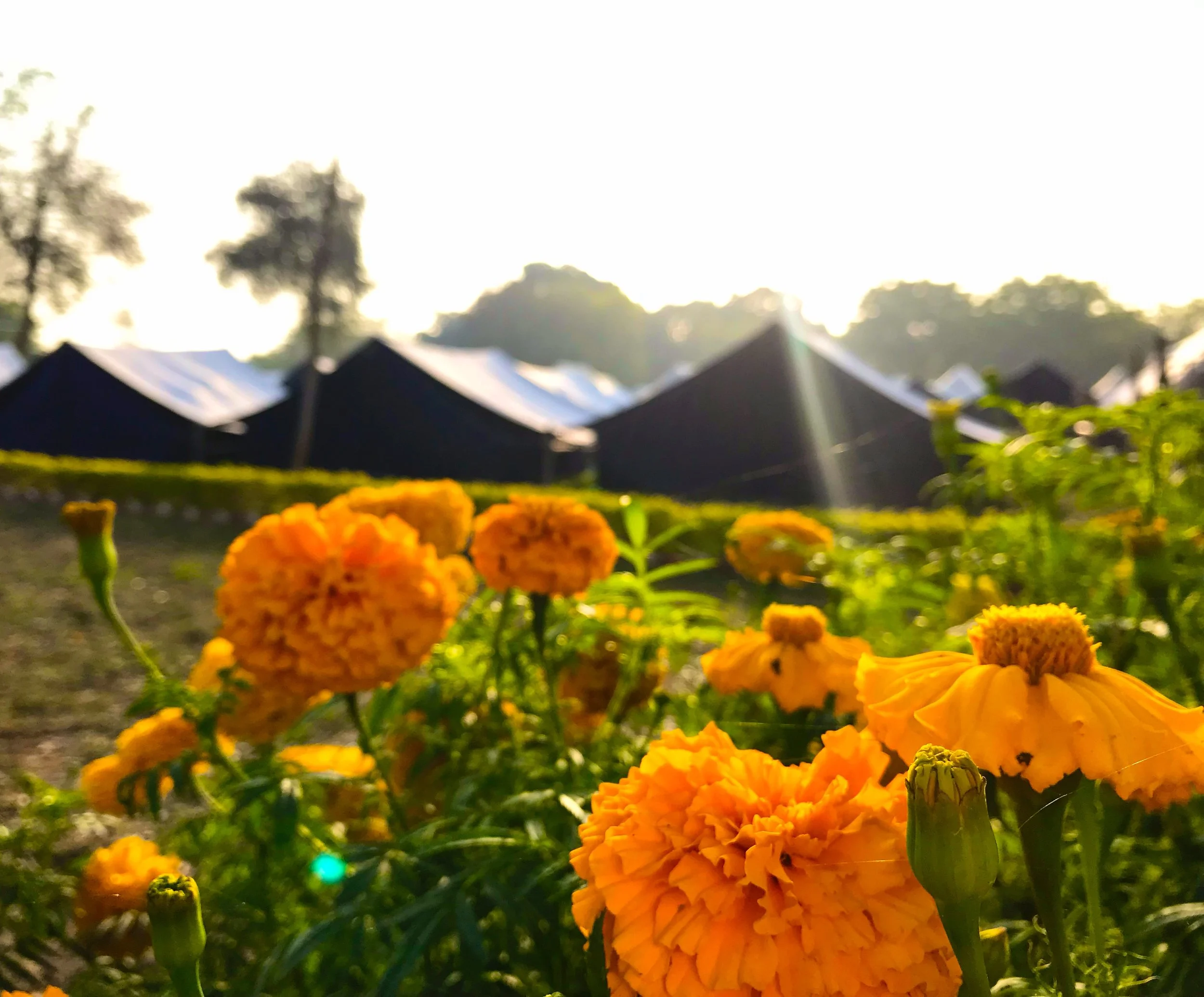 Us, Glamping!