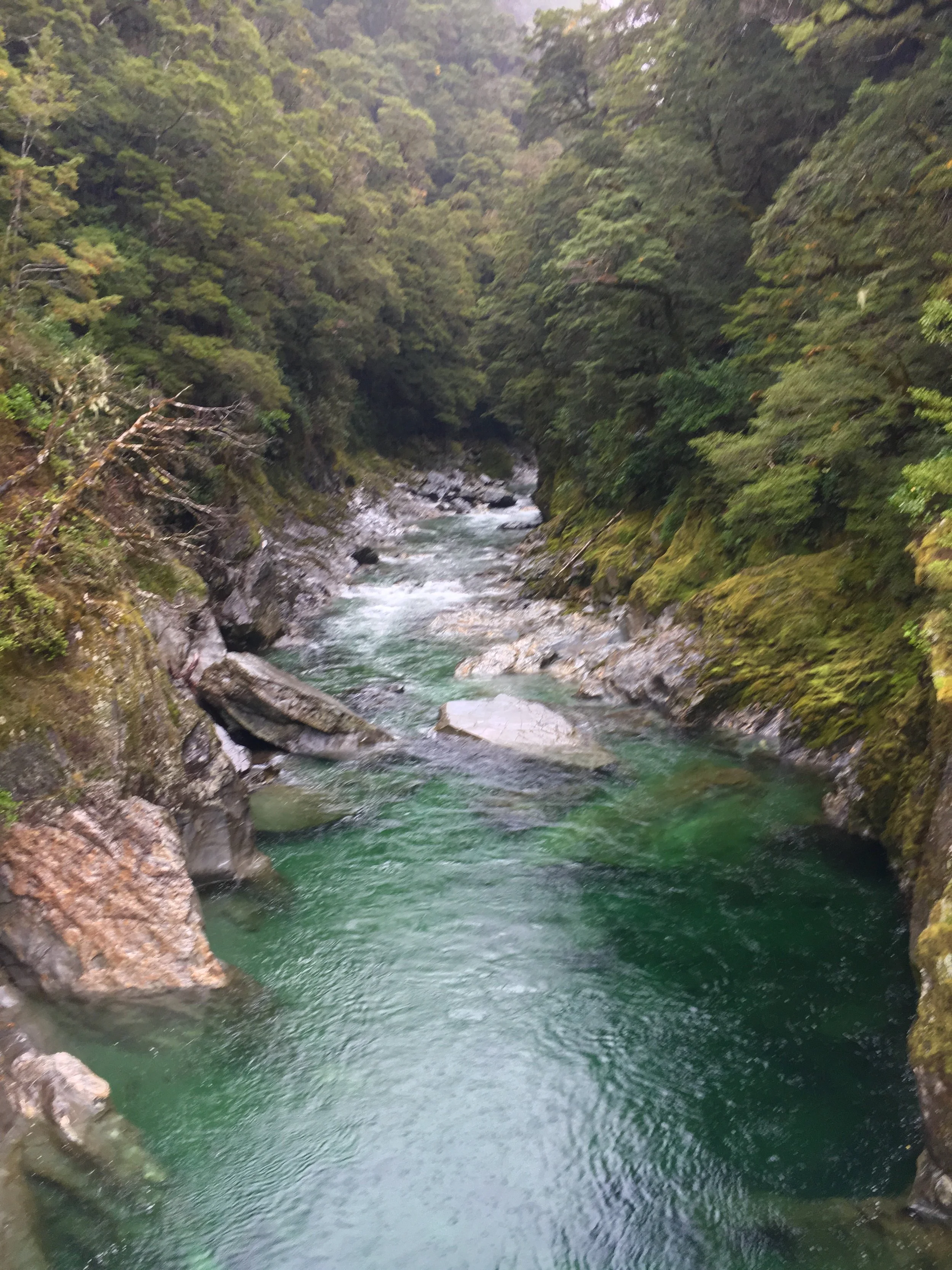 The "Blue" pools looking rather green...