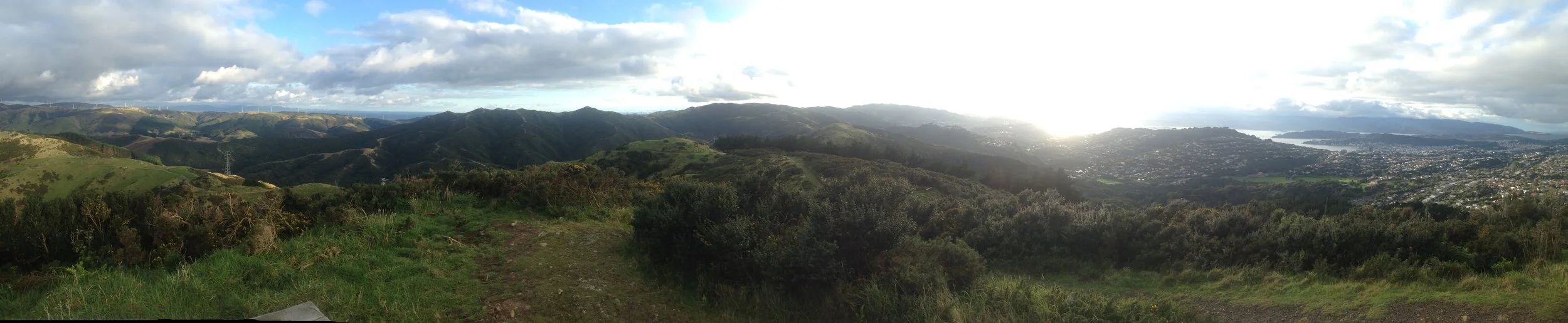 The skyline trial above Wellington