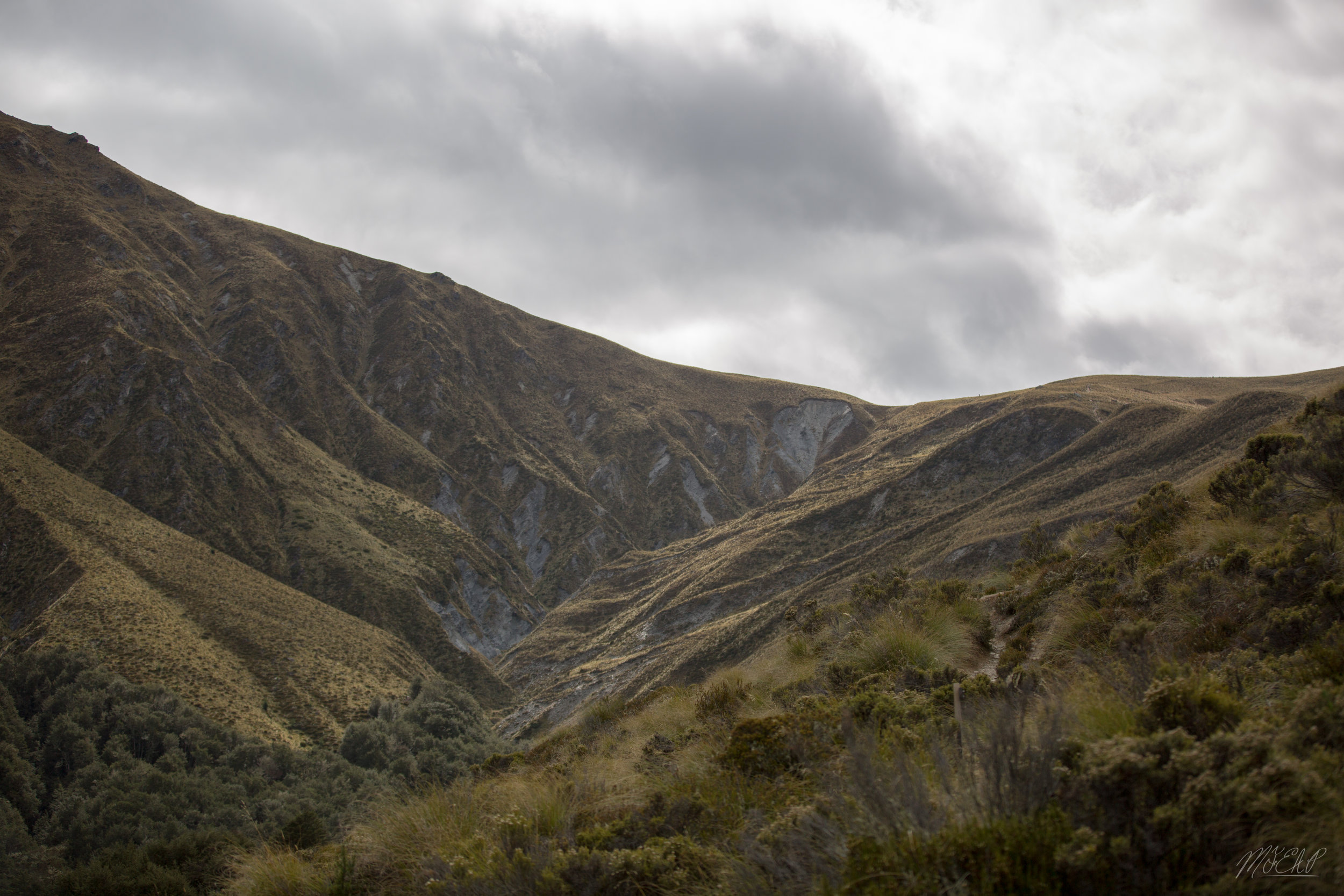  In the hills above Queenstown. 