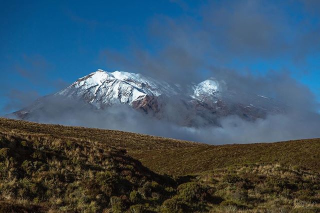 Tongariro trailhead. 🇳🇿 -  From my new blog post (link in bio)